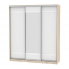 Шкаф-купе Аларти B-220х200х60-3ДСС-Белый-D9D10D9