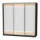 Шкаф-купе Аларти B-220х235х60-2Венге-ДМ-D10D10D10