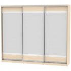 Шкаф-купе Аларти B-220х270х60-2ДМ-D10D10D10